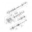 Joint spi sortie boite 4 B.T. 82-86