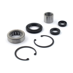 Kit roulement d'arbre primaire 84-06